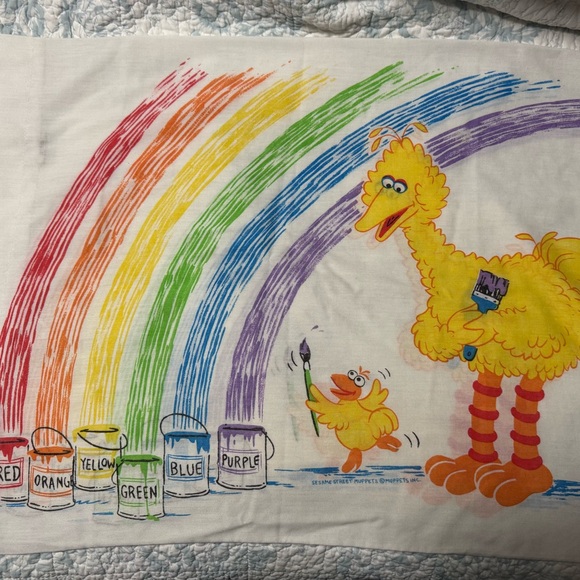 Sesame Street Other - Big Bird Rainbow Paint Pillowcase - Sesame Street